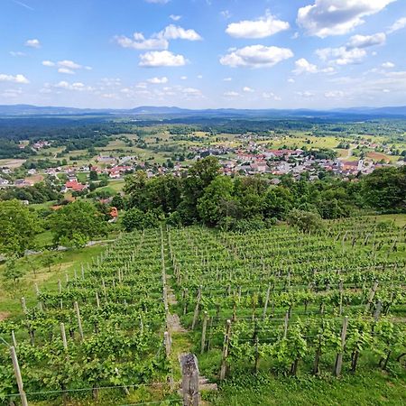 Zidanica-Vineyard Cottage Jakse 세미치 외부 사진