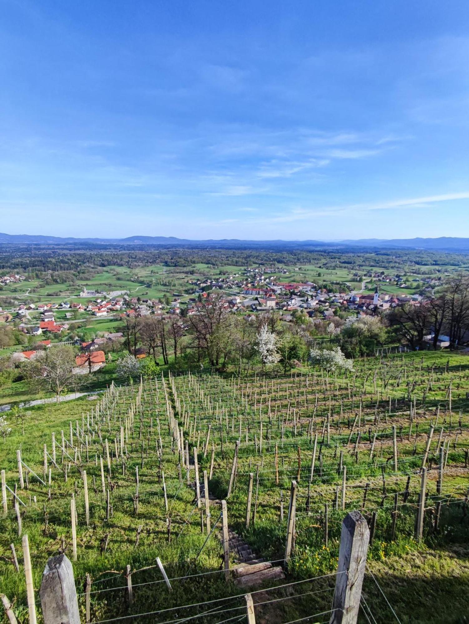 Zidanica-Vineyard Cottage Jakse 세미치 외부 사진