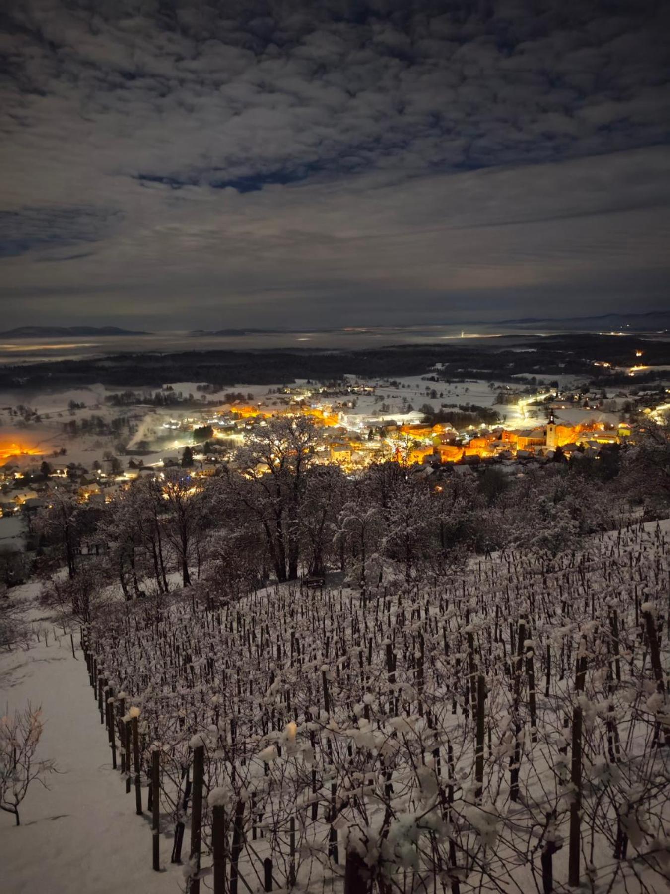 Zidanica-Vineyard Cottage Jakse 세미치 객실 사진