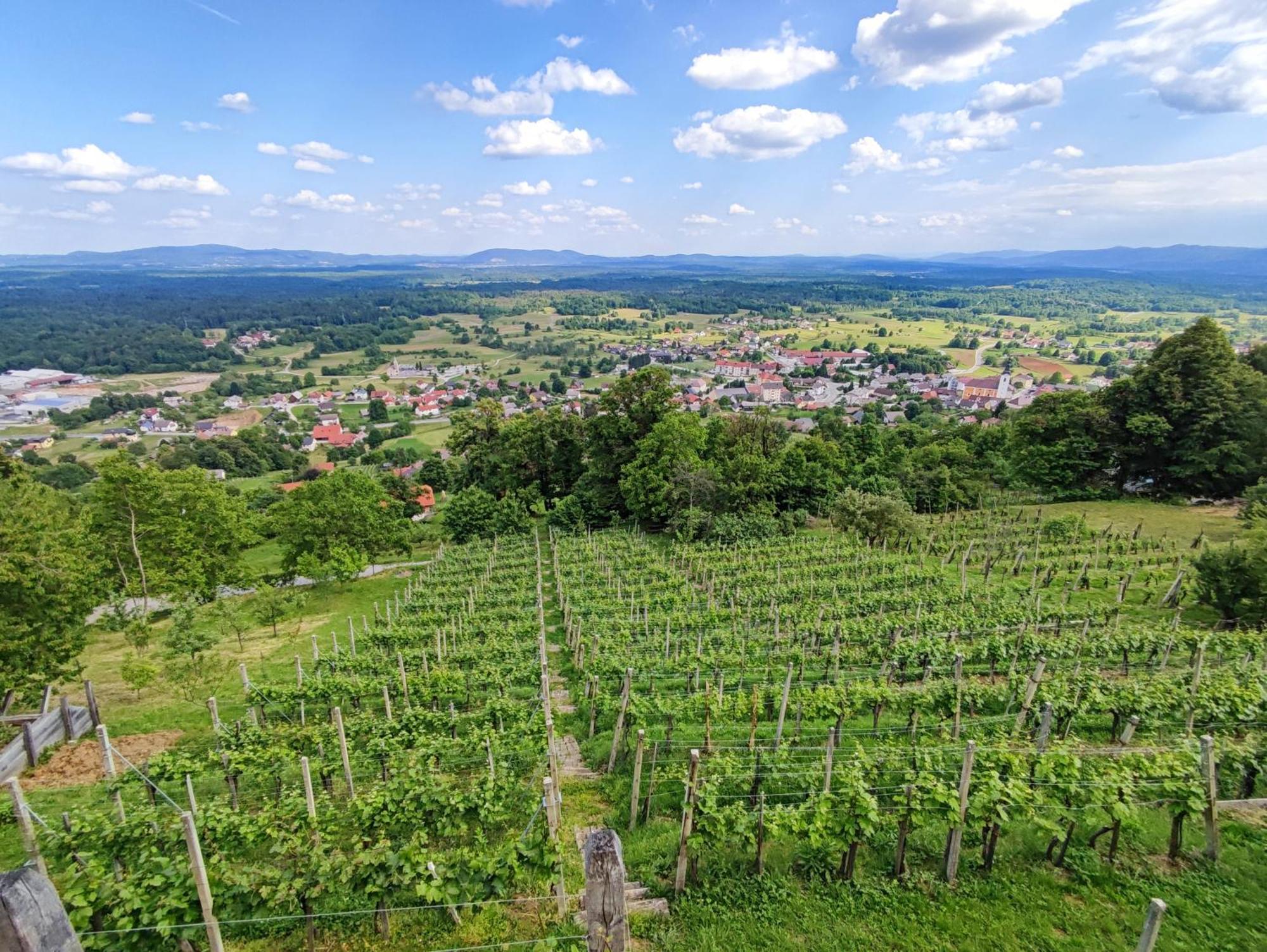 Zidanica-Vineyard Cottage Jakse 세미치 외부 사진